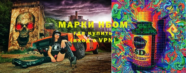 спайс Арсеньев