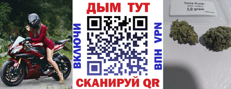 Марихуана план  цены   Олонец 